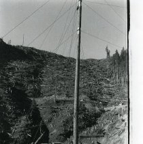 1965 - GrossLeg's Logging - Cowichan Lake - 1994233002 - jpg72 - 001