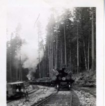 1937 - Logs Being Hauled - Franklin River - 2013006002 - jpg72 - 001