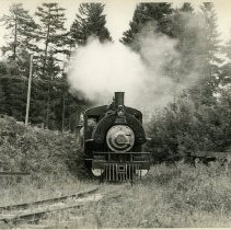 1960 - Sandy Locomotive - Deerholme - 2019014002 - jpg72 - 001