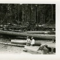 unk - H.R. MacMillan & G. Wellburn - Duncan - 2019014004 - jpg72 - 001