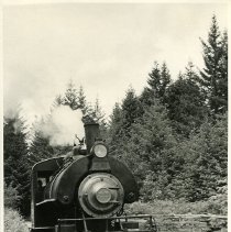 unk - Samson in Motion - Deerholme - 2019014010 - jpg72 - 001