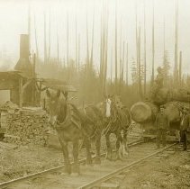 1912-14 - Horse Logging on Railway - Comox - 2019015001 - jpg72 - 001