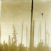 1912-14 - Cable yarding & steam donkey - Comox - 2019015006 - jpg72 - 001