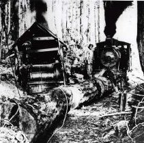 1907 - Steam donkey, Loco, and Men - Camp 5, Chemainus - 2020015003 - jpg72 - 001