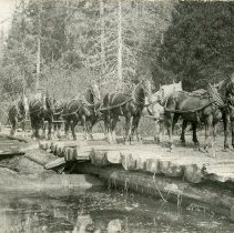 1890 - Horse logging - unk - 2020016001 - jpg72 - 001