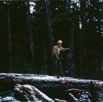 1960s - Jim Shillito & Logging Tongs - Franklin River - 2021071031 - jpg72 - 001