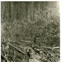 1975 - Taylor Spar Tree - Duncan - 1990013003 - jpg72 - 001