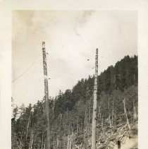 1939 - Cable Logging Set Up - Vancouver Is. - 1993025002 - jpg72 - 001