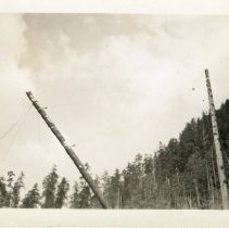 1939 - Cable Logging Log Lowered - Vancouver Is. - 1993025003 - jpg72 - 001
