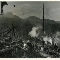 1920-50 - VL&M Large Skidder - Chemainus - 1993025006 - jpg72 - 001