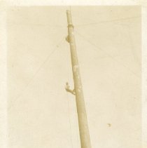 unk - Possibly Jens Wiedswang - Vancouver Is. - 1993025009 - jpg72 - 001