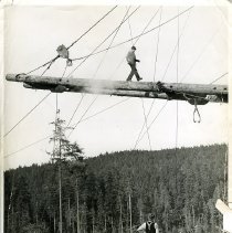 unk - Walking on Crane - Vancouver Is. - 1993025012 - jpg72 - 001