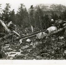 1945-50 - Slash Pile - Homfray Channel Or Fanny Bay - 2019019002 - jpg72 - 001