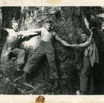 1950s - Not a bad tree - unk - 2019070004 - jpg72 - 001-002