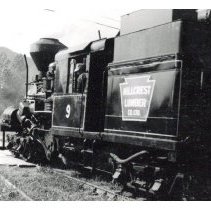 1965 - Back Side of Hillcrest Lumber No. 9 - Mesachie Lake - 2021072024 - jpg72 - 001