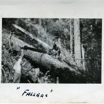 1939-42 - Powersaw - Franklin River Area, Camp B - 2022044003 - jpg72 - 001