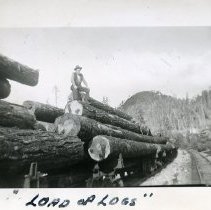 1939-42 - Load of Logs - Franklin River Area, Camp B - 2022044007 - jpg72 - 001