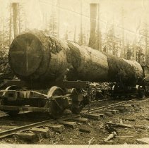1928-45 - Log on Railcar - Port Renfrew - 2022058001 - jpg72 - 001