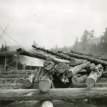 1934 - Log Pile - Deerholme - 2022058004 - jpg72 - 001