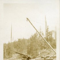1932 - Logs & Flatcar - Mile 61.4 - 2022059005 - jpg72 - 001