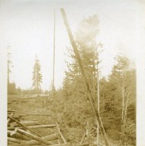 1932 - Logs for Cameron Tie Mill - Mile 61.4 - 2022059006 - jpg72 - 001