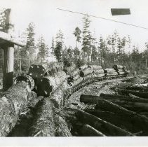 1944 - CNR Cowichan Sub - Mile 54 - 2022059011a-c - jpg72 - 001