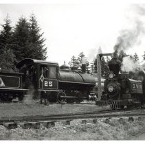 1958-64 - Samson & Susie  - Deerholme - 1976100006 - jpg72 - 001