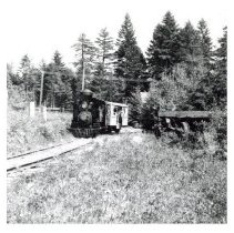 1959 - Susie & Guests on Tracks - Deerholme - 1976100024 - jpg72 - 001