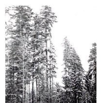 1950 - Car on Road - Koksilah - 2011600016 - jpg72 - 001