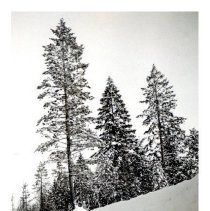 1951 - Car on Snowy Road - Koksilah - 2011600017 - jpg72 - 001