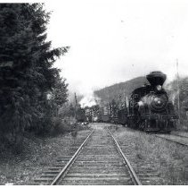 unk - Hillcrest No. 10 & Steam Crane - Mesachie Lake - 2018057065 - jpg72 - 001