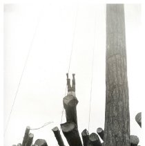 1934-43 - Man Doing Hand Stand - Sahtlam - 2020013014 - jpg72 - 001