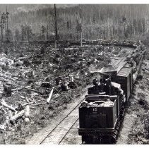 unk - Logging Locie - Camp 10, Cowichan Lake - 2020013043 - jpg72 - 001