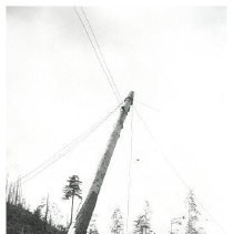 1948 - Raising Spar Tree - Camp 3 - 2020013045 - jpg72 - 001