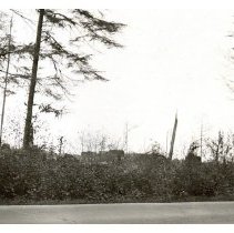 1929 - Nursery Before Clearing - Green Timbers - 2021004004 - jpg72 - 001