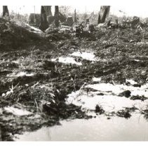 1930 - Conditions During Clearing - Green Timbers - 2021004008 - jpg72 - 001