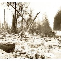 1930 - Southeastern Portion - Green Timbers - 2021004011 - jpg72 - 001