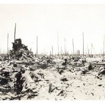 1930 - Nursery During Clearing - Green Timbers - 2021004014 - jpg72 - 001