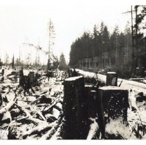 1930 - Nursery During Clearing - Green Timbers - 2021004015 - jpg72 - 001