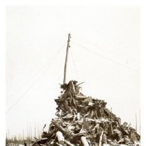 1930 - Pile of Stumps - Green Timbers - 2021004016 - jpg72 - 001