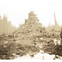 1930 - General Conditions - Green Timbers - 2021004017 - jpg72 - 001