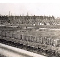 1931 - Nursery - Green Timbers - 2021004023 - jpg72 - 001