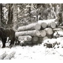 unk - Horse Logging - Clemina Creek - 2021007023 - jpg72 - 001