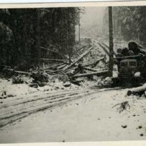 unk - Winter Logging - Nanoose Bay - 2022015018 - jpg72 - 001
