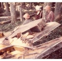 1973 - CAT Tree Shears Jaws - Nanoose Bay - 2022015023 - jpg72 - 001