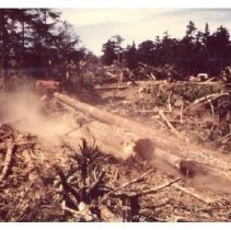 unk - Thinning - Nanoose Bay - 2022015028 - jpg72 - 001