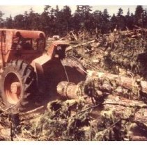 unk - Thinning - Nanoose Bay - 2022015029 - jpg72 - 001