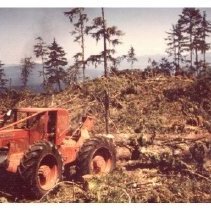 unk - Thinning - Nanoose Bay - 2022015030 - jpg72 - 001