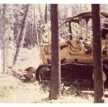 unk - CAT Tree Shears Thinning - Nanoose Bay - 2022015034 - jpg72 - 001