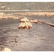 unk - M&B Log Boom - Nanoose Bay - 2022015038 - jpg72 - 001